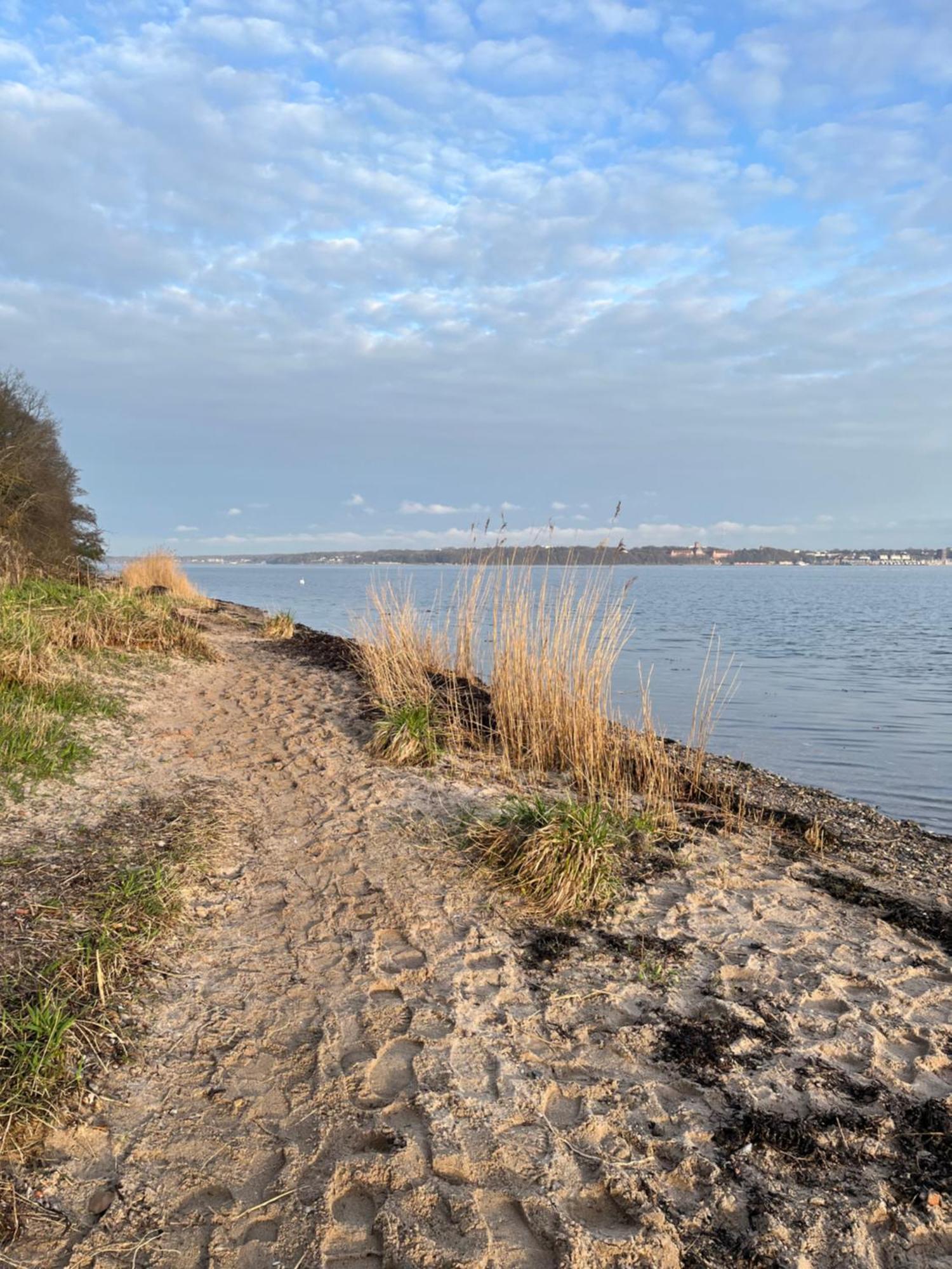 Neu 2024 - Fewo Mit Meerblick & Flair Harrislee Exterior foto